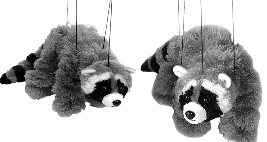 Grey Raccoon Marionette